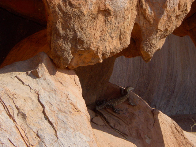 ayers rock