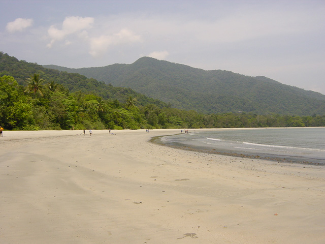 cape tribulation (11)