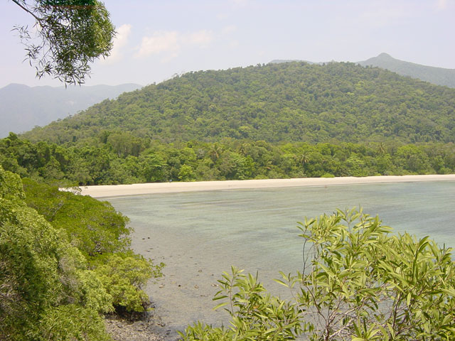 cape tribulation (13)