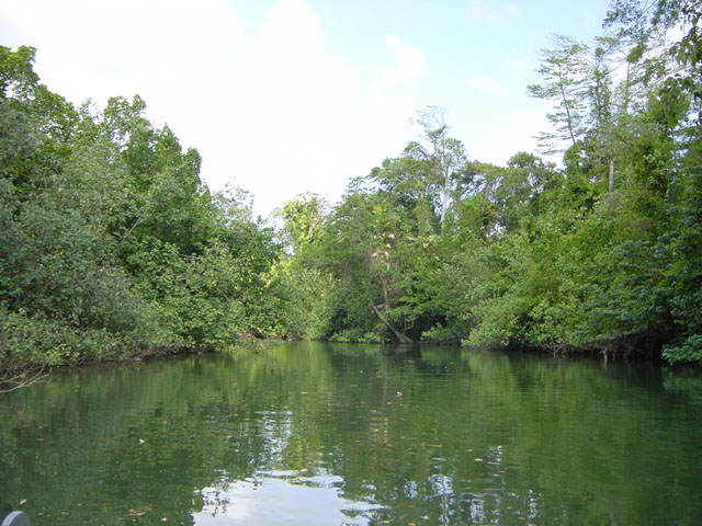 daintree park (2)