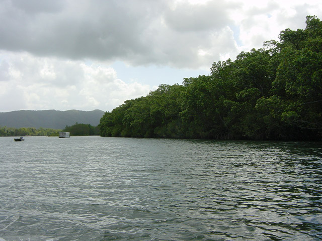 daintree park (6)