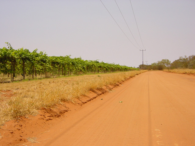 deserto (2)