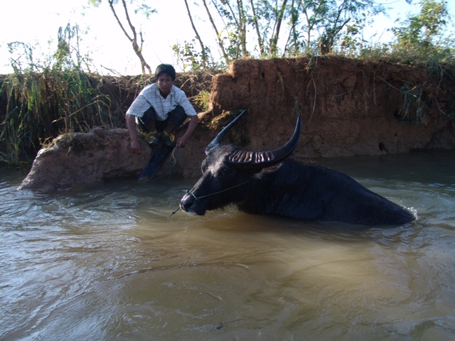 c-lago-inle (289)