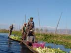 c-lago-inle (269)