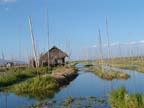 c-lago-inle (273)