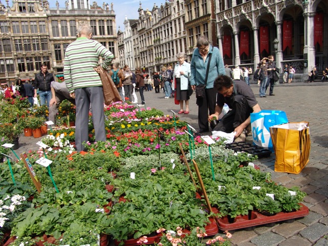 bruxelles (21)