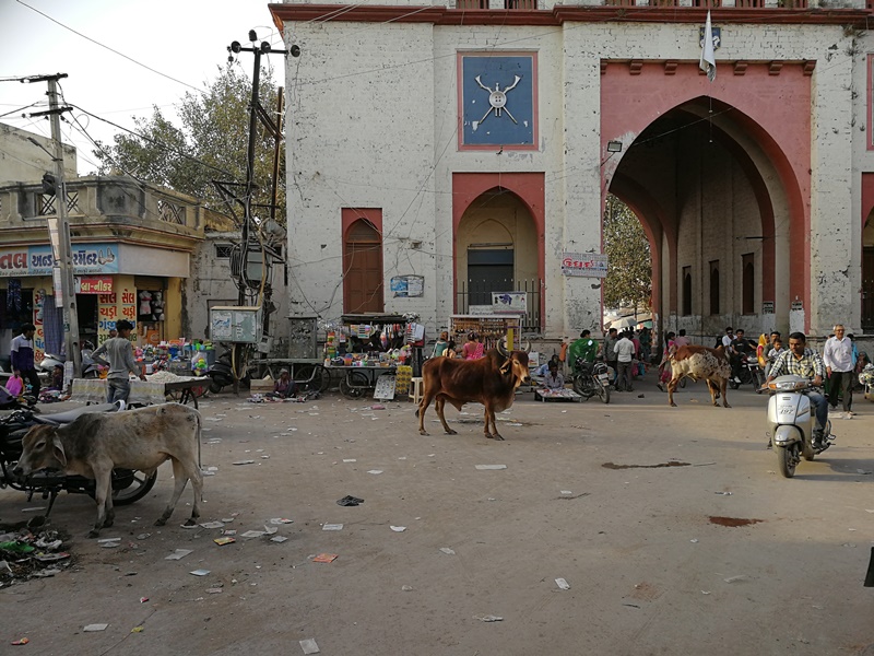 gujarat (206)