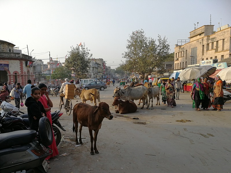 gujarat (208)