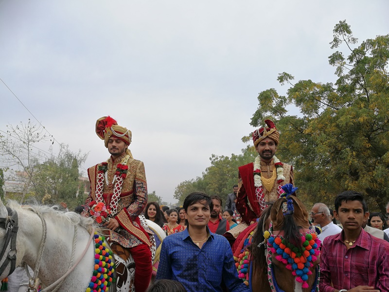 gujarat (299)