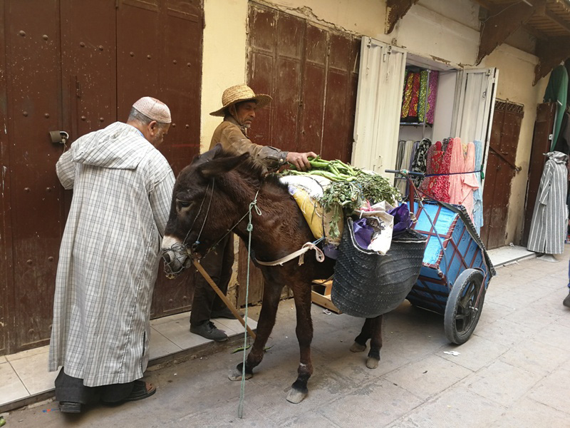 marocco (146)