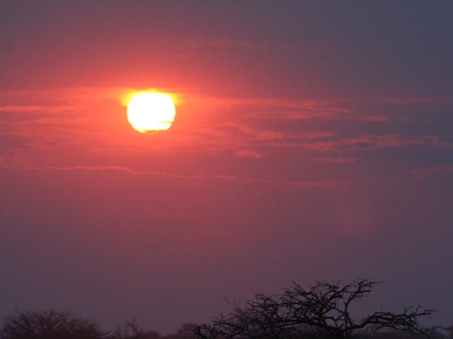 etosha (82)