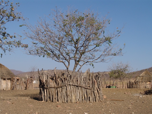 himba (82)