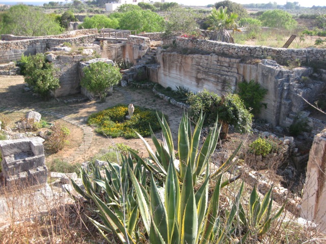 l-favignana (588)