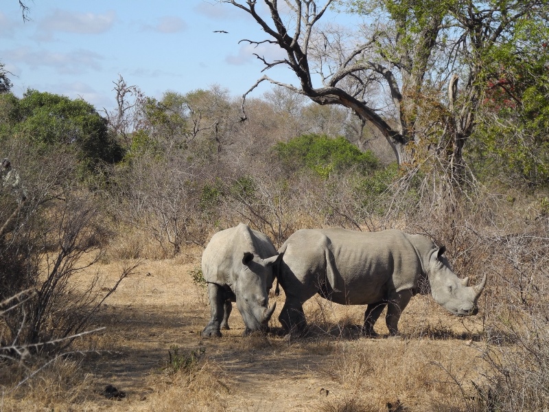 z-ipad-sud-africa (3)