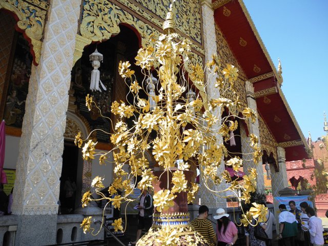 i-lamphun (9)