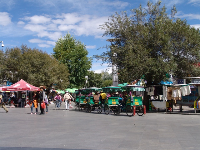 lhasa (1)