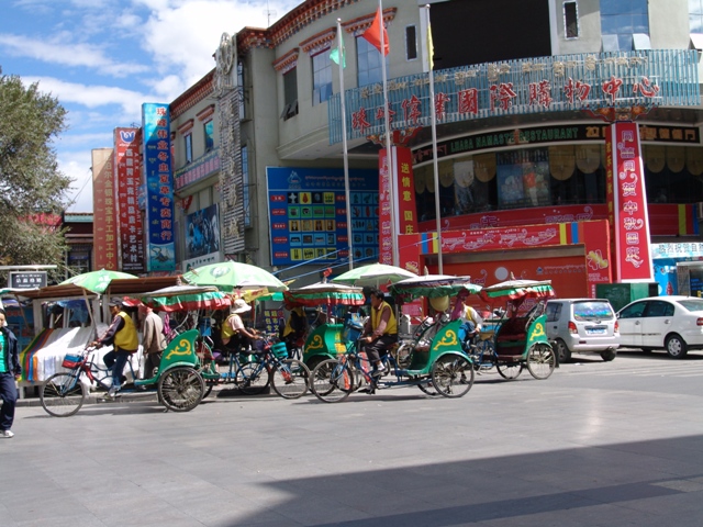 lhasa (3)