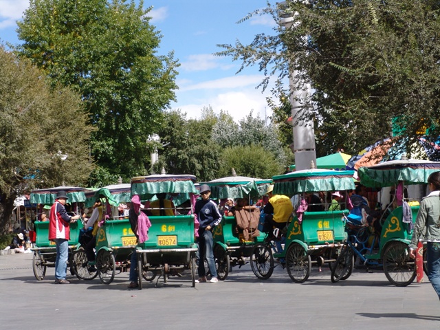 lhasa (4)