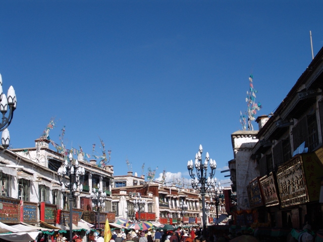 lhasa (48)