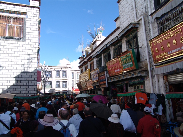 lhasa (56)