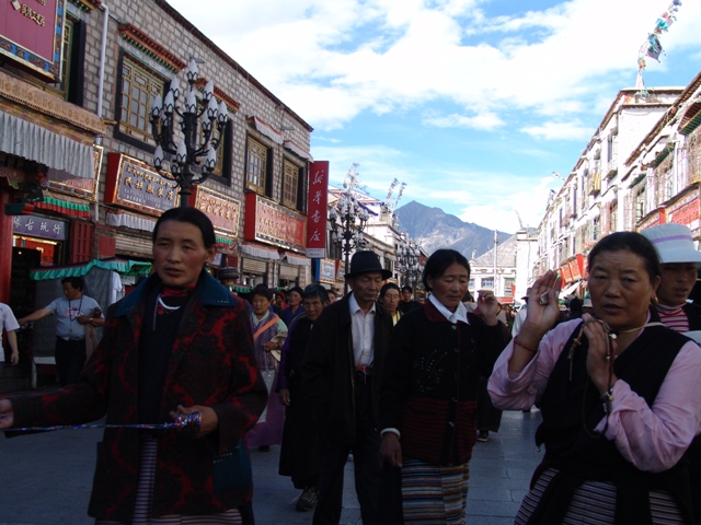 lhasa (72)