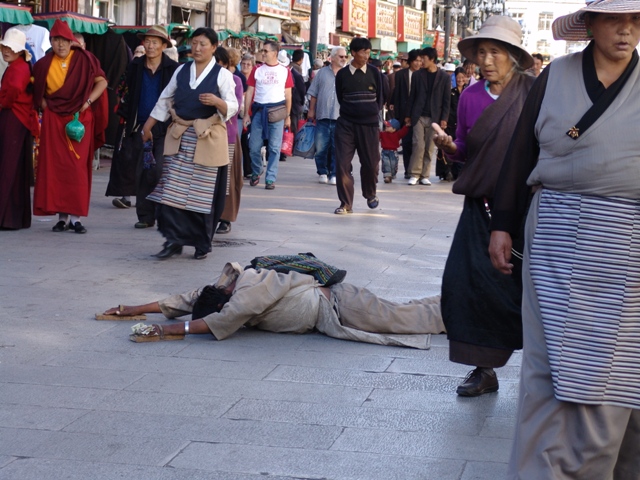 lhasa (74)