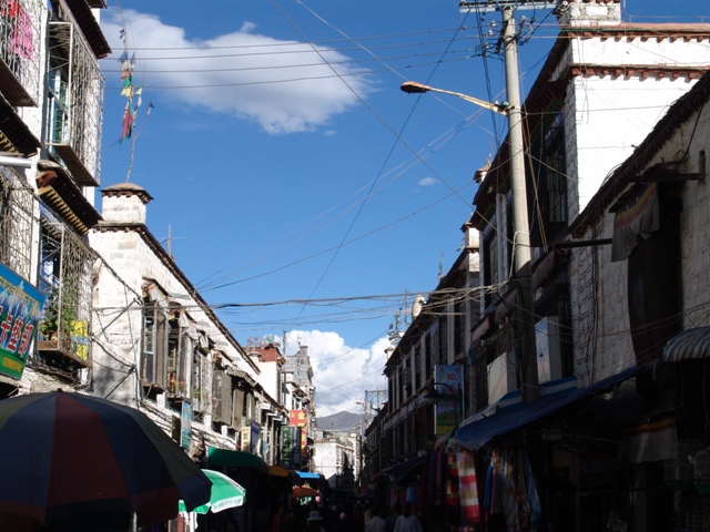 lhasa (86)