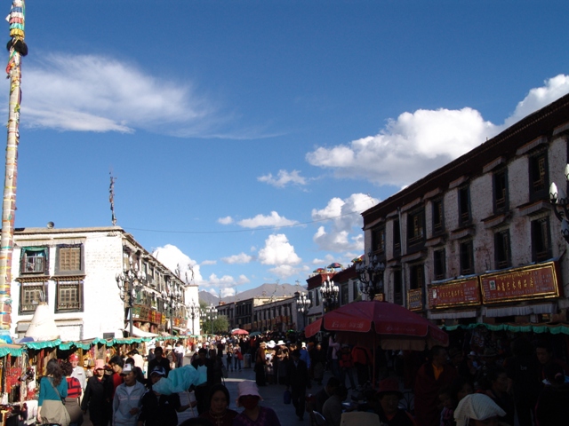 lhasa (94)