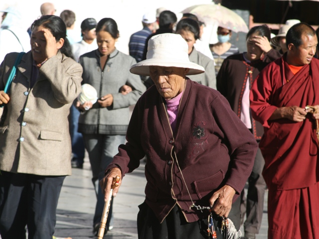 lhasa (98)