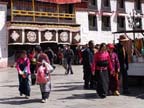 lhasa (31)