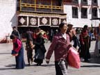 lhasa (32)