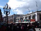 lhasa (52)