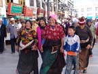 lhasa (63)