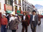 lhasa (64)