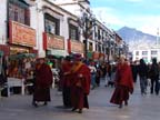 lhasa (66)