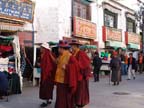 lhasa (67)