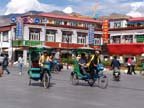 lhasa (7)