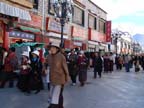 lhasa (70)