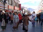 lhasa (71)