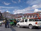 lhasa (8)