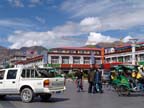 lhasa (9)