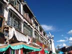 lhasa (93)