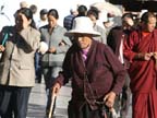 lhasa (98)