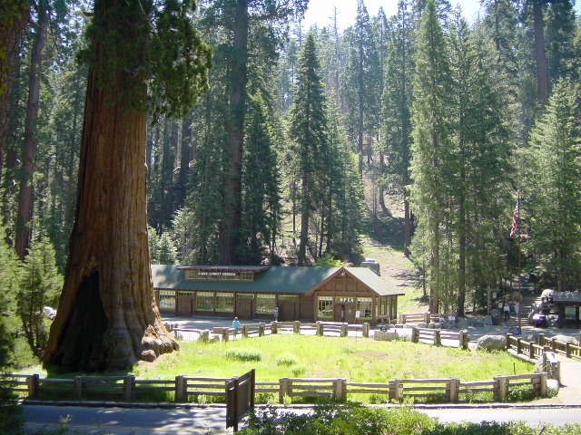 Sequoia Park (2)