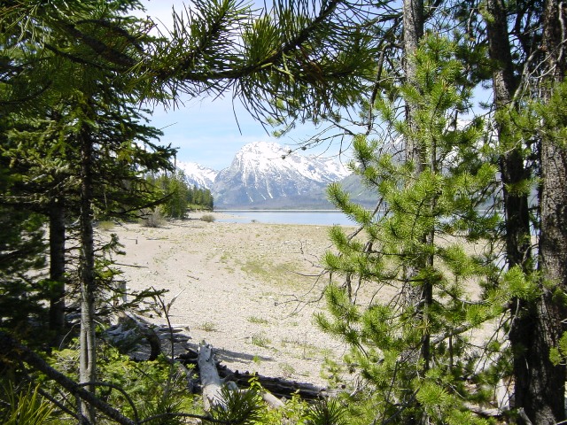 Teton Park (2)