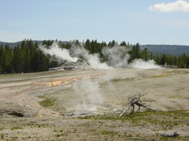 Yellowstone (10)