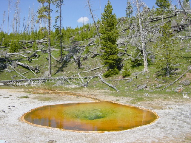Yellowstone (12)