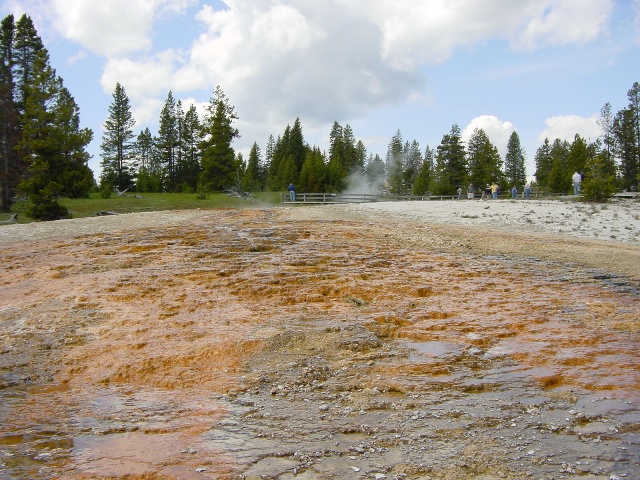 Yellowstone (15)