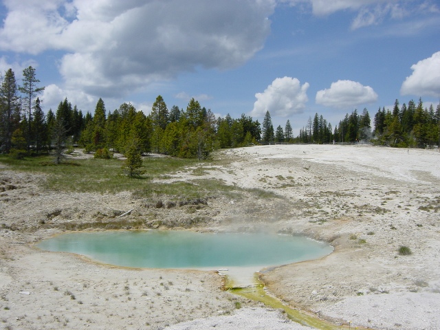 Yellowstone (16)