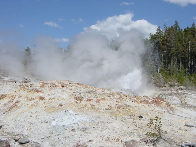 Yellowstone (2)